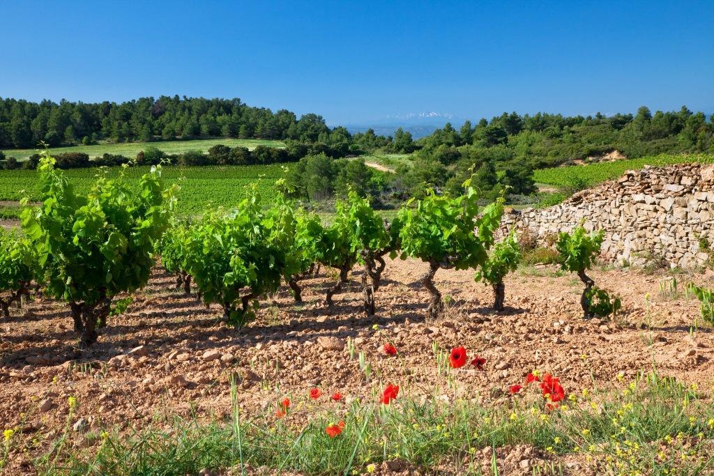 Logis Hotel - Restaurant La Marbrerie Caunes-Minervois Zewnętrze zdjęcie