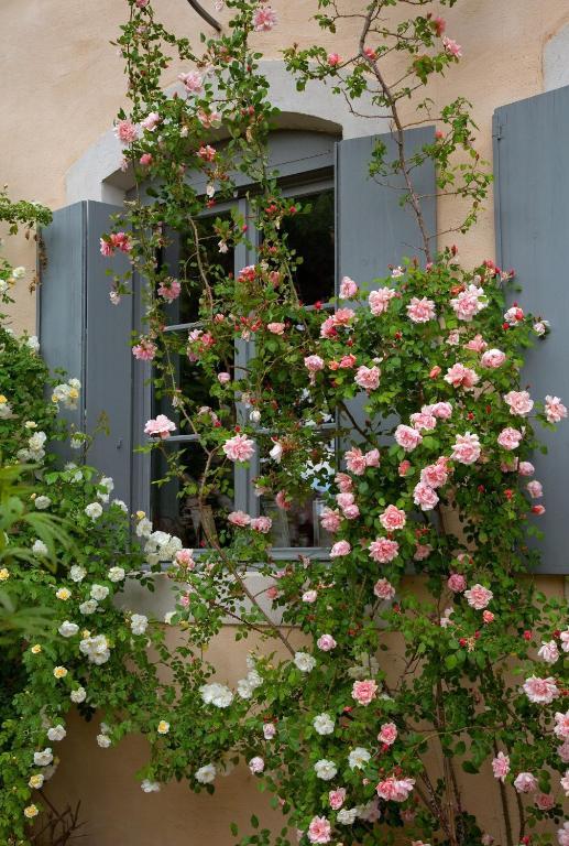 Logis Hotel - Restaurant La Marbrerie Caunes-Minervois Pokój zdjęcie